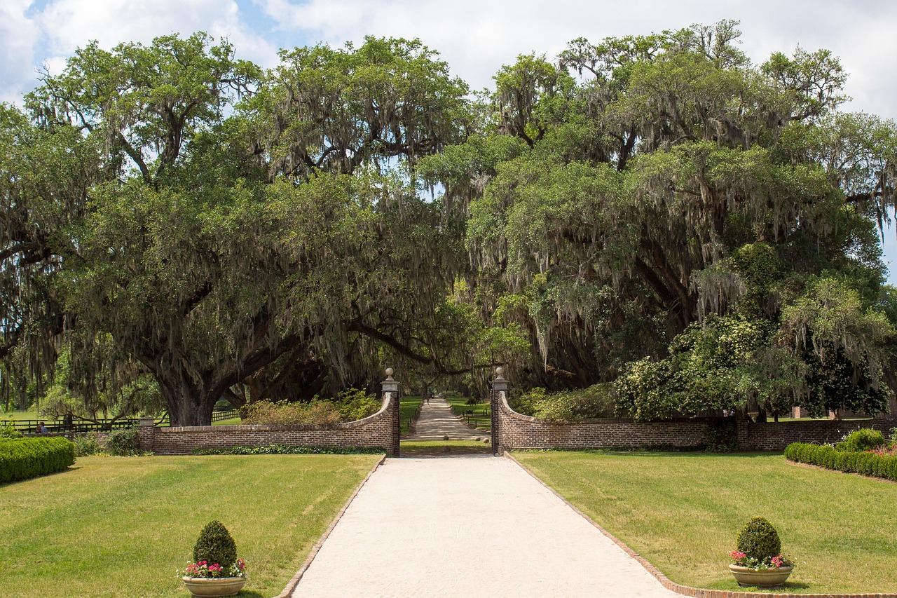 Avenue of live oaks behind a brick estate gate